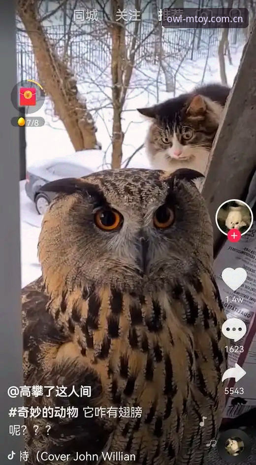 5大猫咪陷阱：为什么猫头鹰体育app下载安装总是失败？深入剖析3种错误类型与7个实用解决技巧